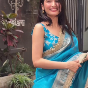 HATHI KA BADA